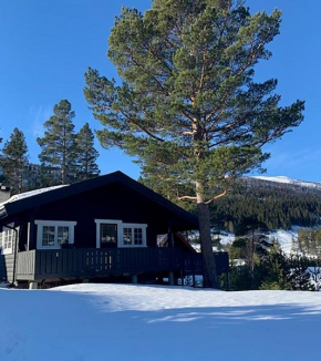 Uvdalhytta - close to cross country and downhill skiing